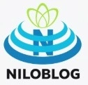 https://www.itbors.com/